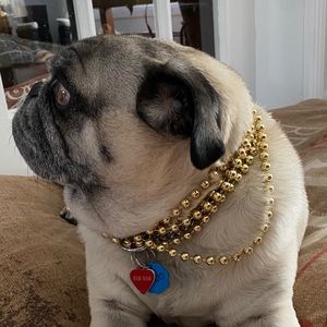 Meet your Posher, Shayne